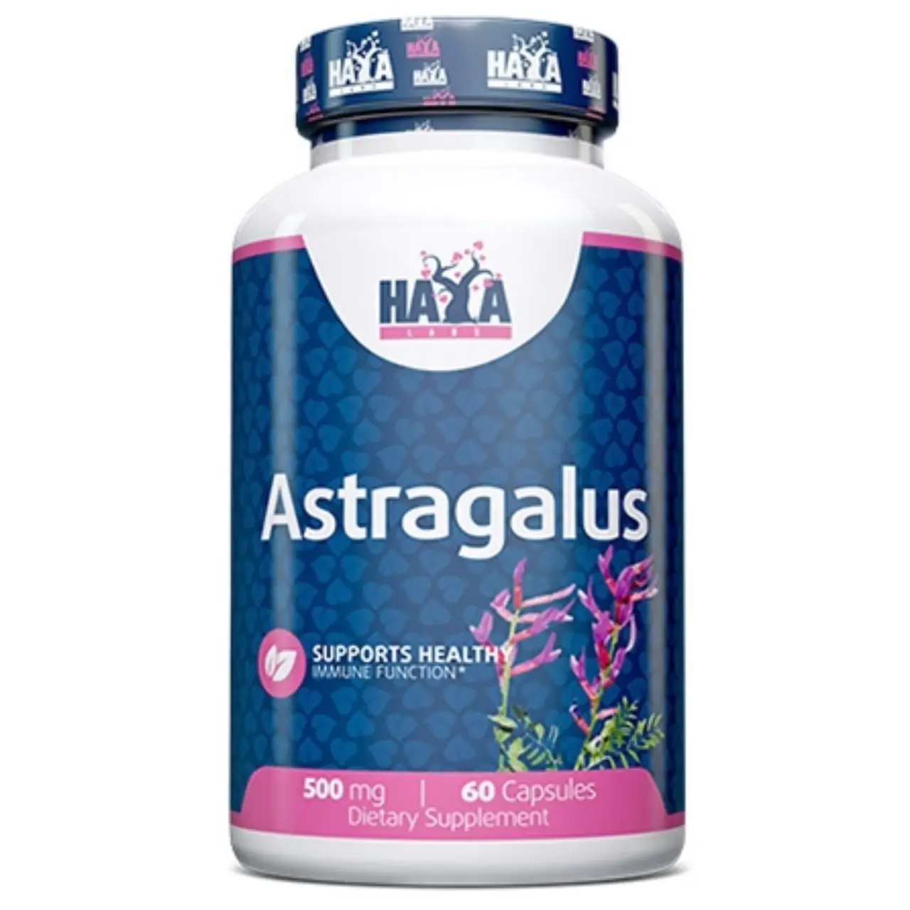 Astragalus-60cap-500mg-–-Haya-Labs Astragalus-60cap-500mg-–-Haya-Labs